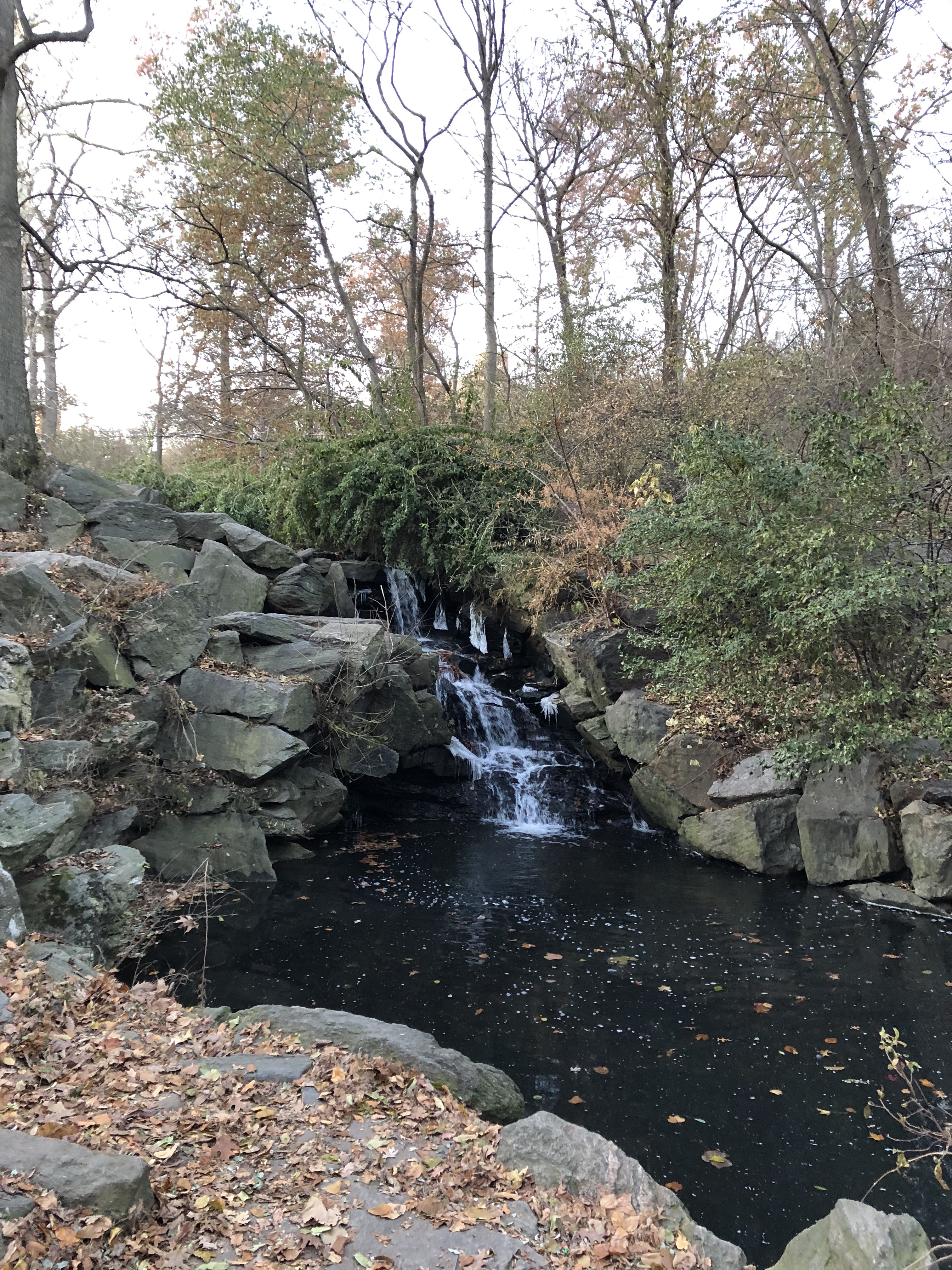 HMoLu7BTRBiCLOZHyH5NFg