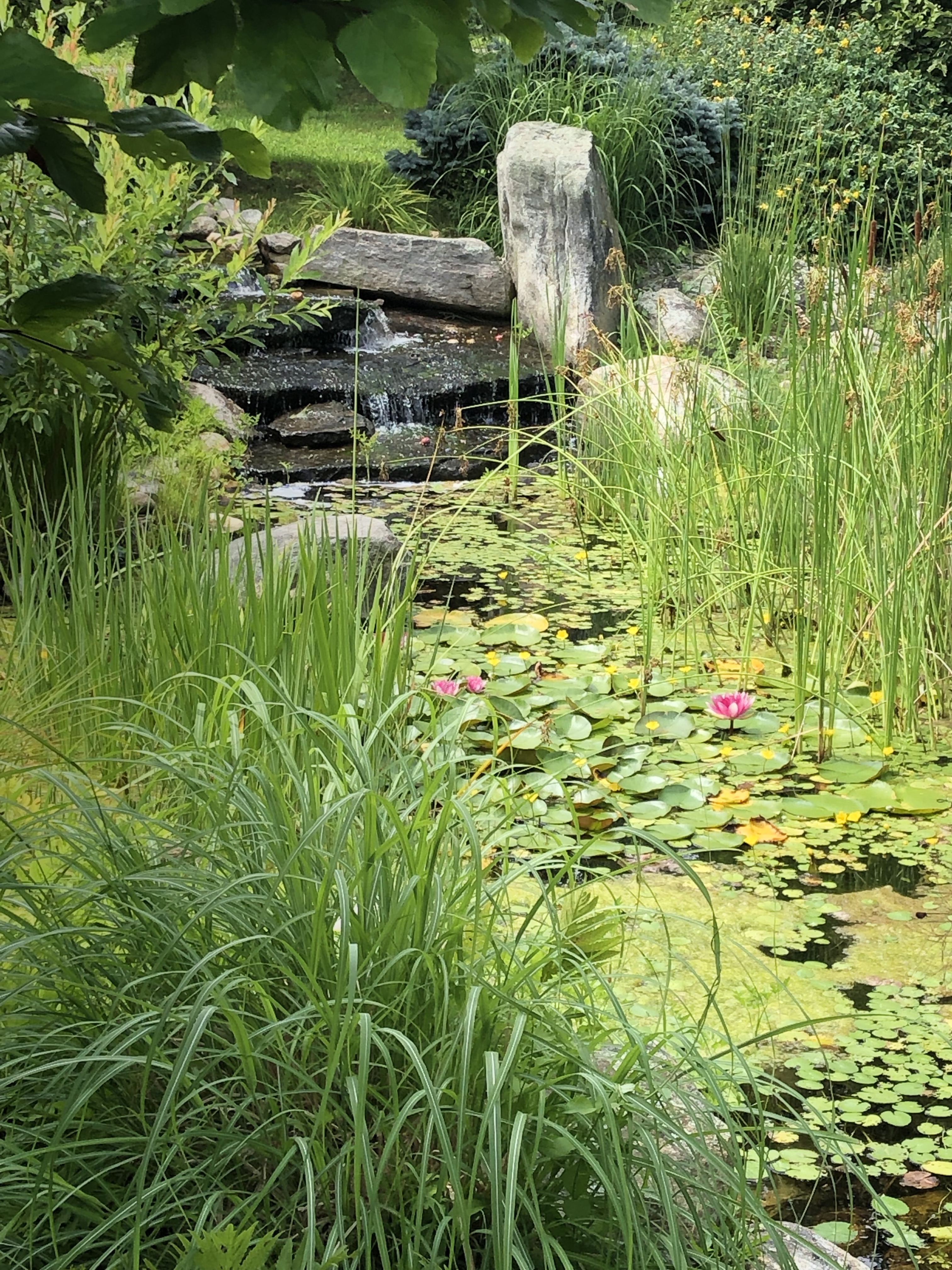 qSrHcDPYSpGgQC++SHObbg