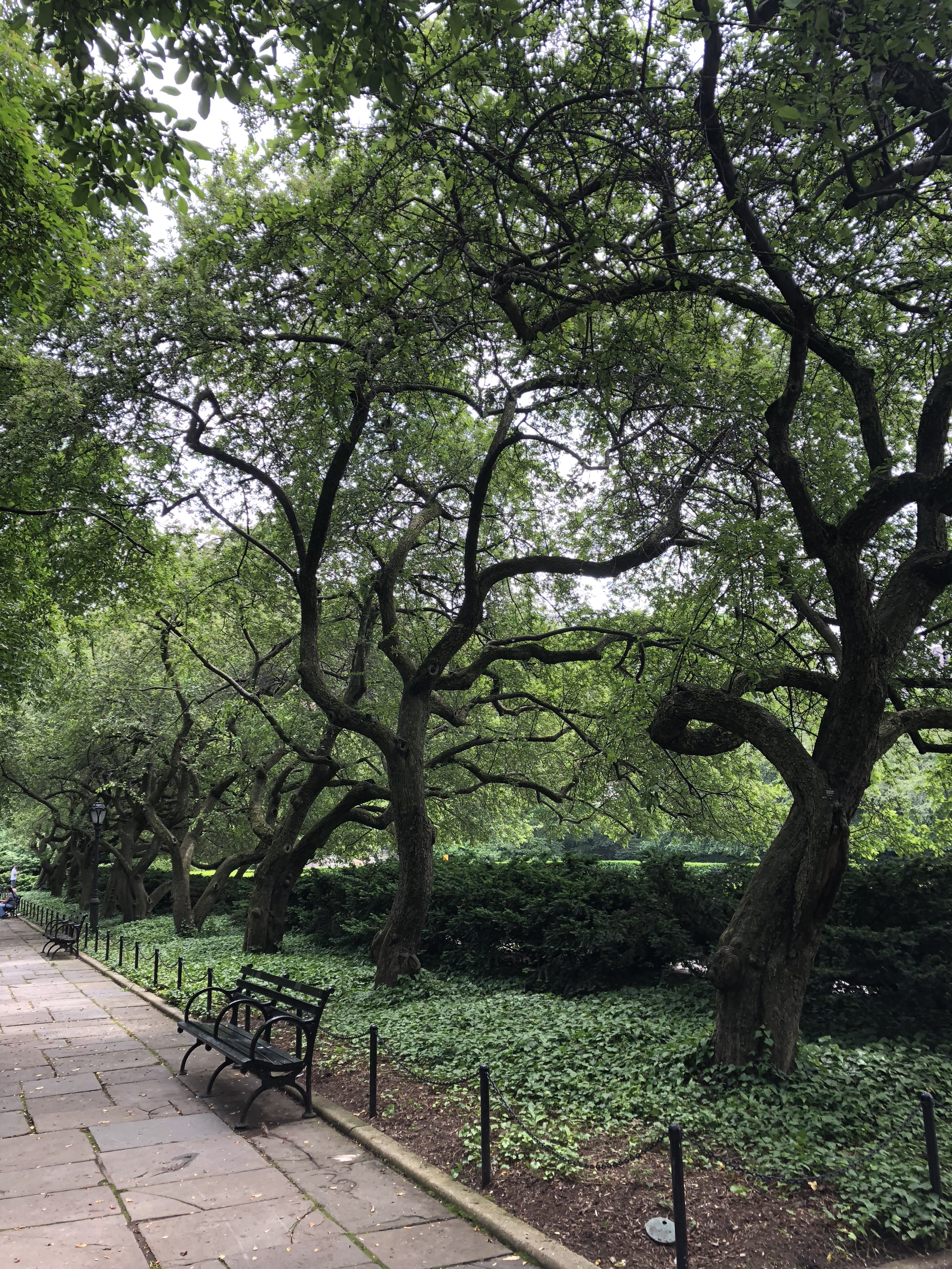 dqrXfpGlTQS5wVBbBx89Ug