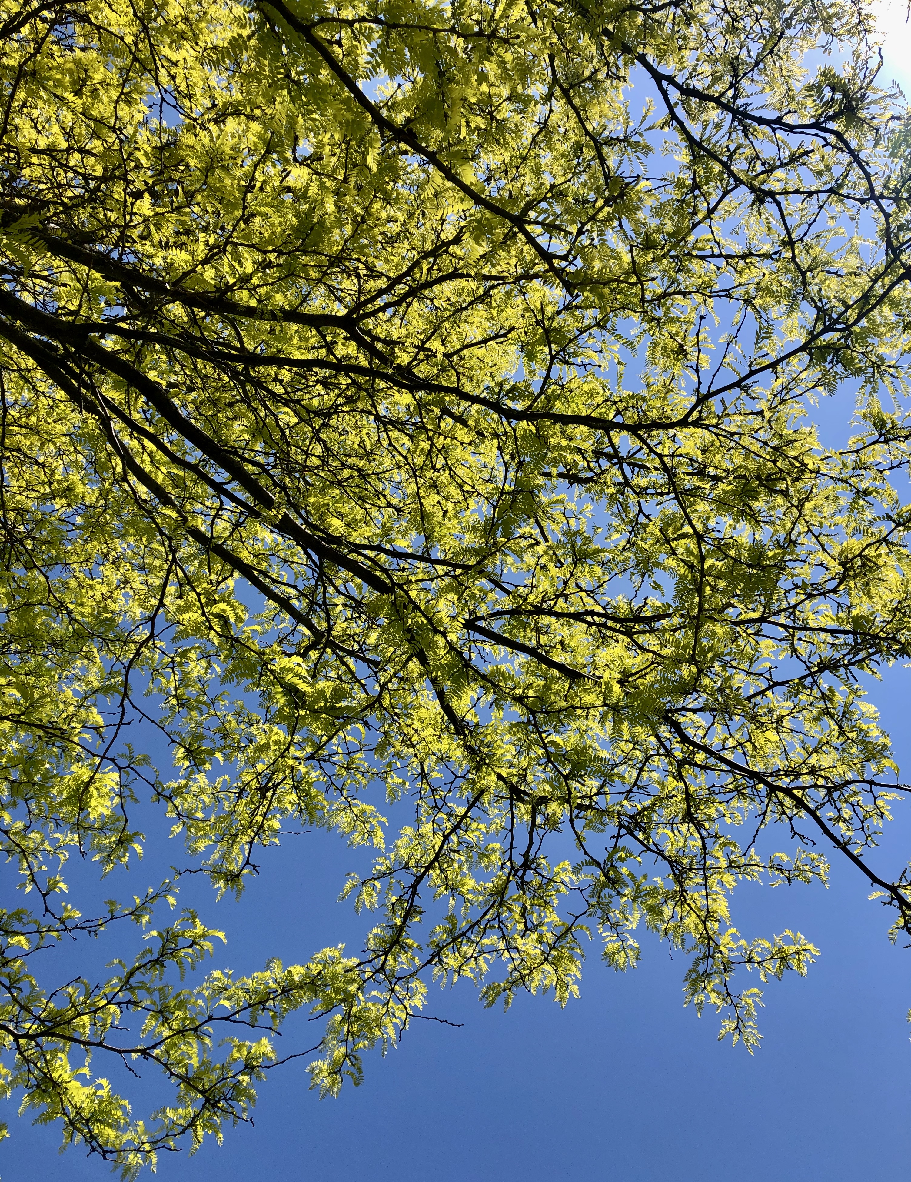 D4786A77-2F73-4949-9225-584BF5E51828_1_201_a