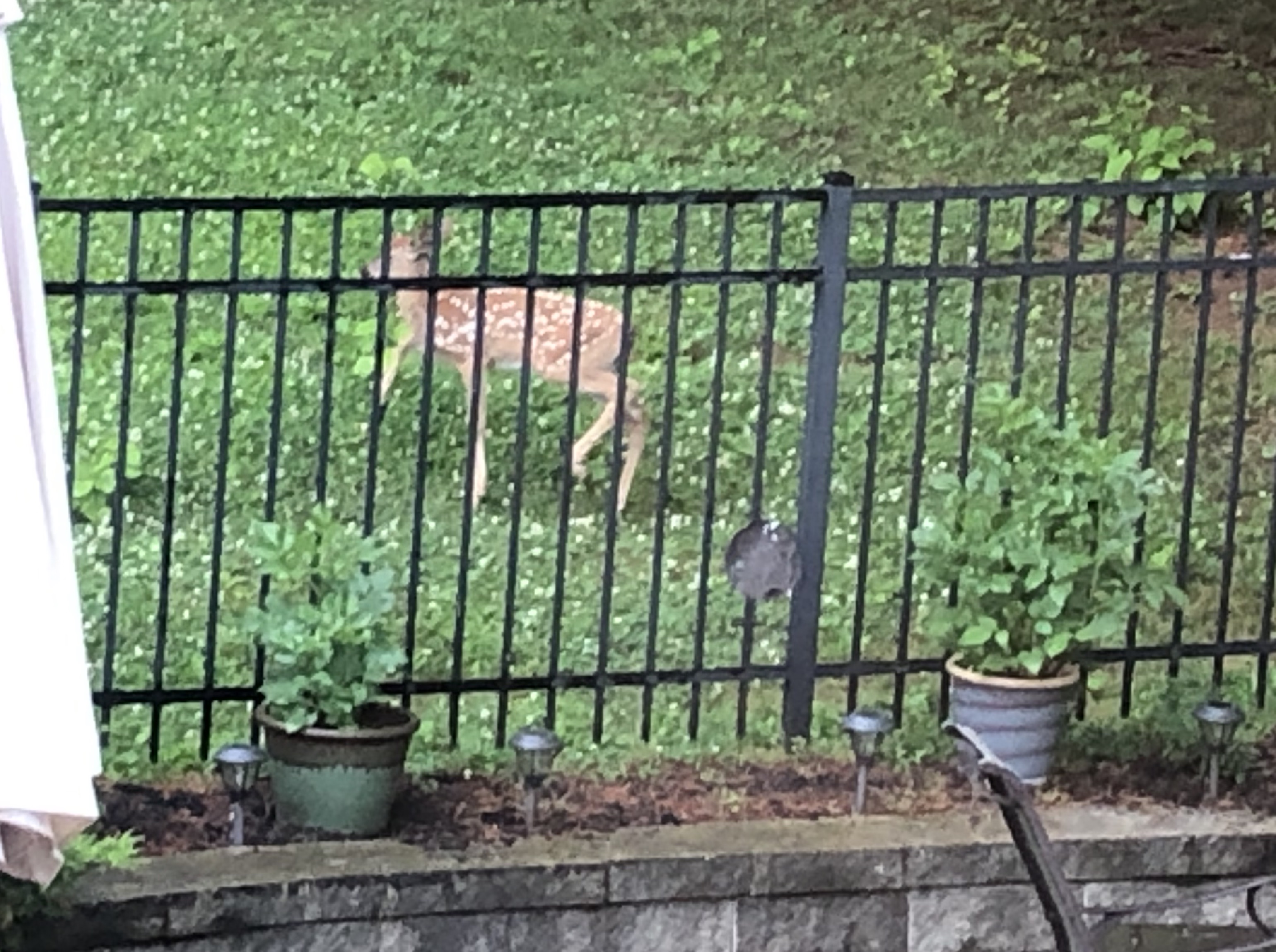 24A77235-CB3D-4D85-BE25-CD25F8000D40_1_201_a