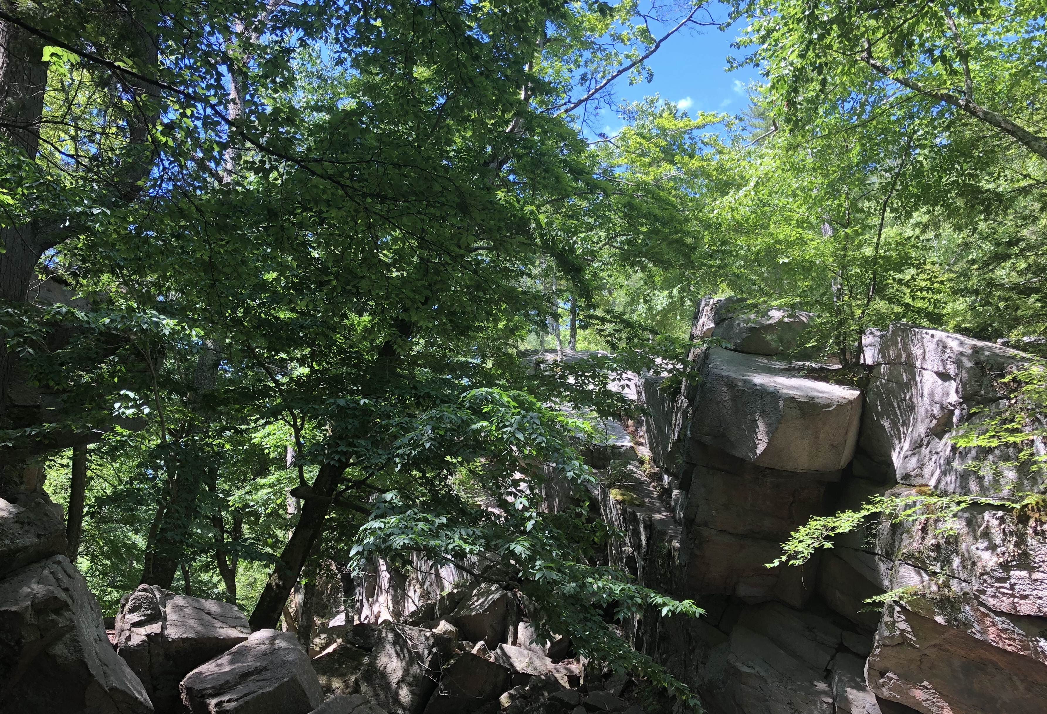 8DC01015-8D01-4FA6-AB70-0C08A5C79624_1_201_a